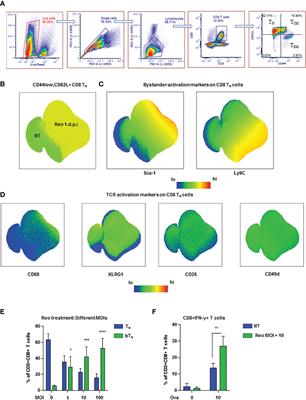 After virus exposure, early bystander naïve CD8 T cell activation relies on NAD+ salvage metabolism